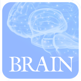 <b>Guarantors of Brain</b>